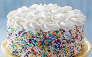 Sponge Cake Base